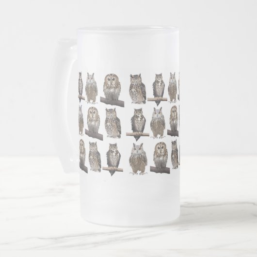 Chope Givrée Owls (Devant gauche)