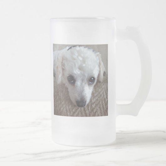 Chope Givrée Petit chien blanc de caniche (Droit)