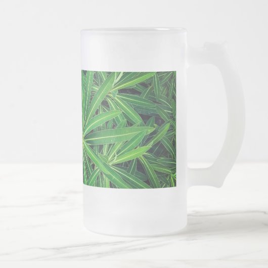Chope Givrée Plante vert (Droit)