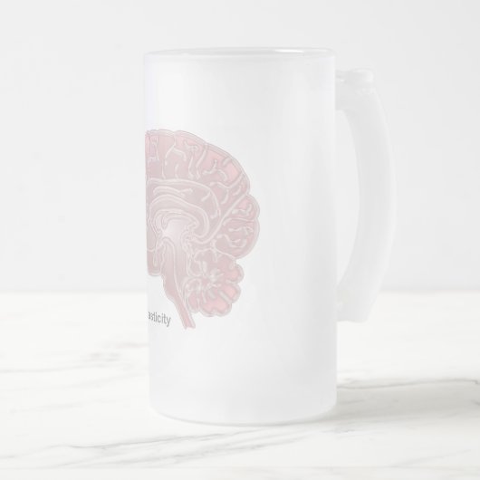 Chope Givrée Plasticité neuronale (Devant droit)