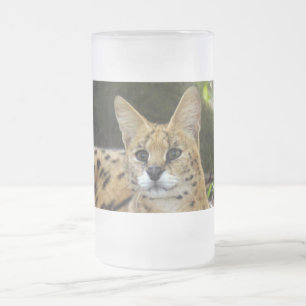 Chope Givrée serval 015