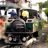 CHOPE GIVRÉE TRAINS À VAPEUR
