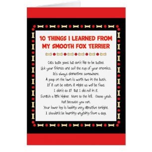 Choses drôles I appris de mon Fox Terrier doux