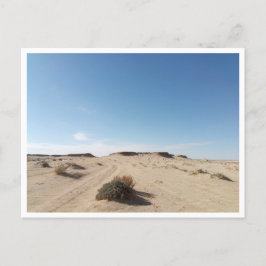 Chott el Gharsa (Tunesië) Briefkaart