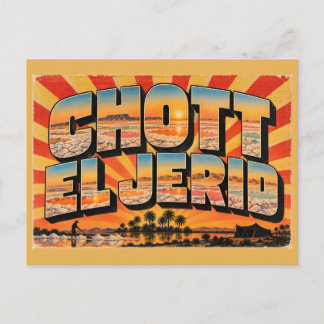 Chott El Jerid Zoutmeer Sahara Vintage Reis Kunst Briefkaart