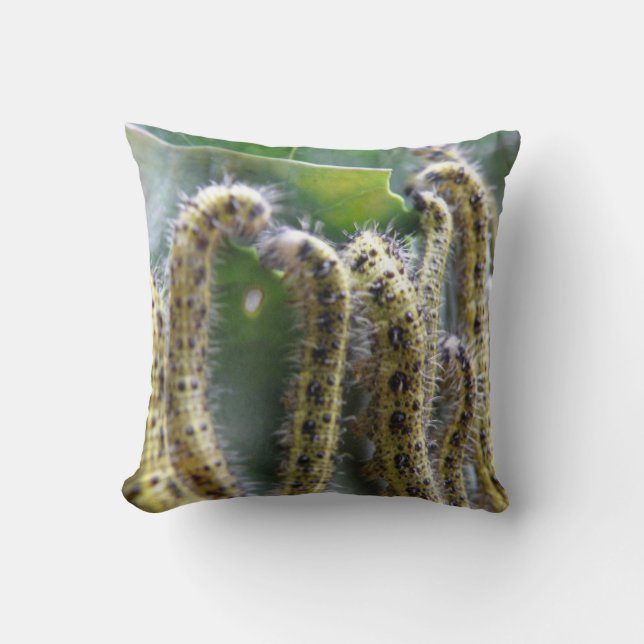 Chou affamé Blanc Caterpillar Coussin (Recto)