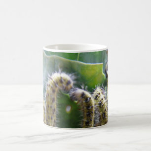 Chou affamé Poupées blanches Caterpillar Boug Mug