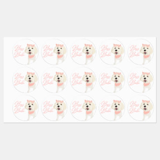 Chou Boss Babe Étiquettes