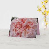 Chou rose Rose Fleurs Vintages Carte d'anniversair (Fleur jaune)