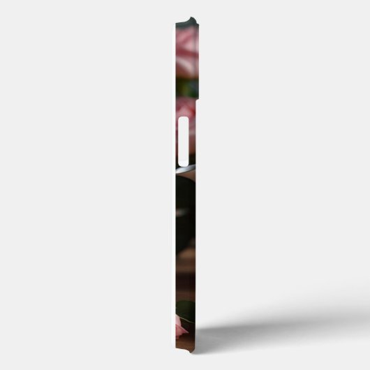 Chou rose Rose Thé iPhone / coque ipad (Verso / Droite)