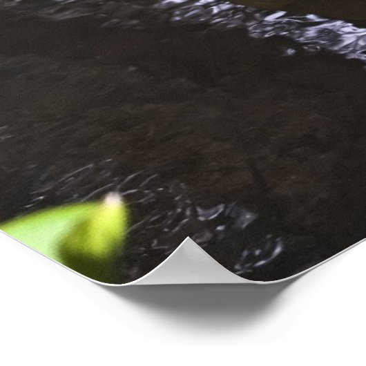 Chou Skunk - Impression Art (Coin)