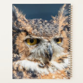 Chouette à cornes 2024 (Dos)