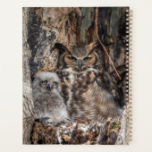 Chouette à cornes 2024 (Dos)