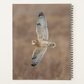 Chouette à court terme 2024 (Dos)