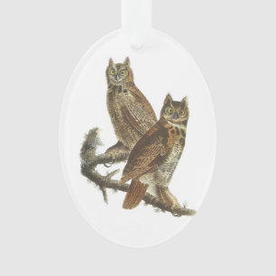 Chouette à grande corne par Audubon