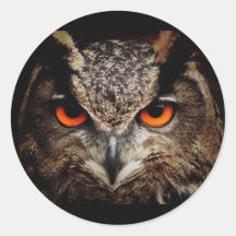Chouette aux yeux jaunes Sticker rond