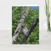 Chouette barrée - Carte 5x7 (vide à l'intérieur) (Devant)