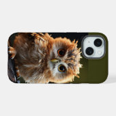 Chouette Bébé Oiseau Nature Animal Humour Art (Verso Horizontal)