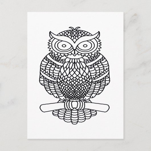 Chouette (blanche) - Carte postale (Devant)