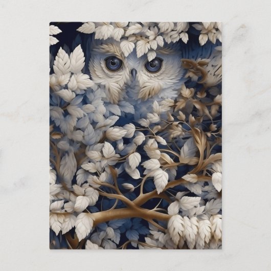Chouette blanche se cachant dans la carte postale  (Devant)
