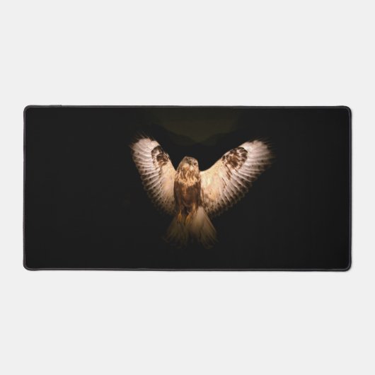 Chouette Dans Le Mat Du Bureau De Vol (Recto)