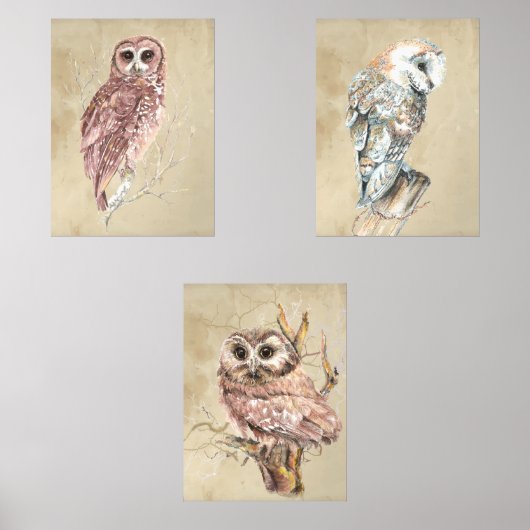 Chouette d'aquarelle Faune Bois Ferme (Recto)