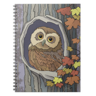 Chouette d'automne et Carnet des couleurs d'automn