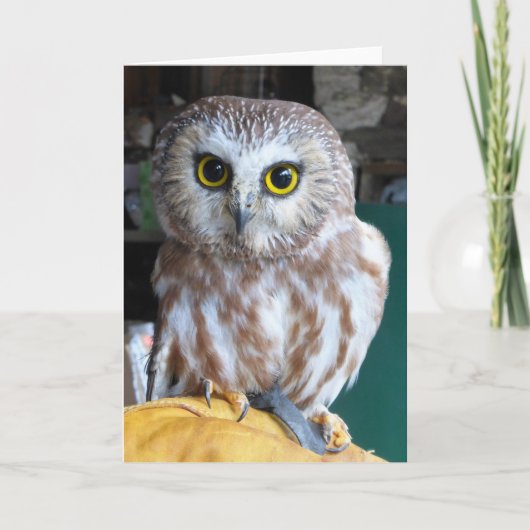 Chouette de carte de voeux (Devant)