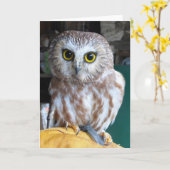 Chouette de carte de voeux (Fleur jaune)