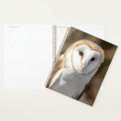 Chouette de la grange 2024 (Devant avec enveloppe)