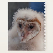 Chouette de la jeune berge 2024 (Dos)