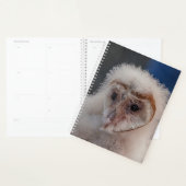 Chouette de la jeune berge 2024 (Devant avec enveloppe)