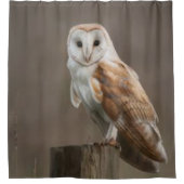 Chouette de rideau de douche (Devant)