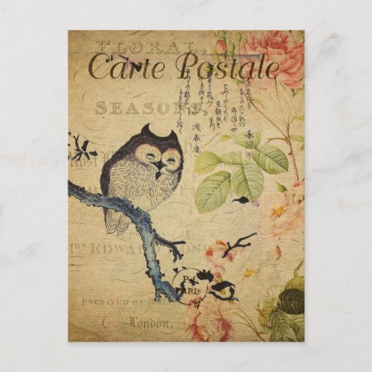 Chouette de style vintage en succursale Carte post (Devant)