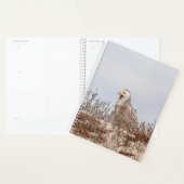 Chouette des neiges 2024 (Devant avec enveloppe)