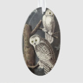Chouette des neiges par Audubon (devant)