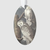 Chouette des neiges par Audubon (devant)