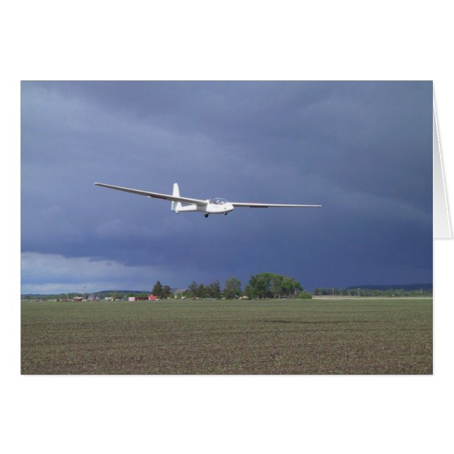 Chouette en finale (Devant horizontal)