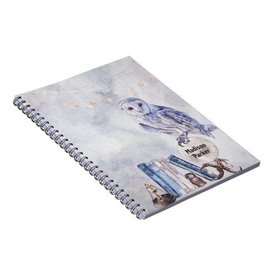 Chouette et livres (Côté Droit)