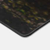 Chouette hivernale majestueuse (Coin)