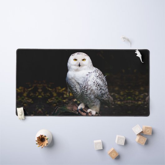 Chouette hivernale majestueuse (Tableau pour enfants)