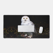 Chouette hivernale majestueuse (Clavier et souris)