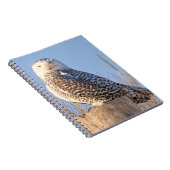 Chouette neige - carnet (Côté Droit)