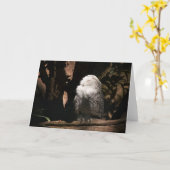 Chouette neigeuse ・ Carte de voeux (Fleur jaune)