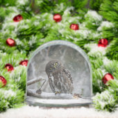 Chouette pygmée du Nord (Noël)