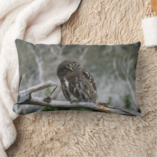 Chouette pygmée du Nord Coussin Lumbar