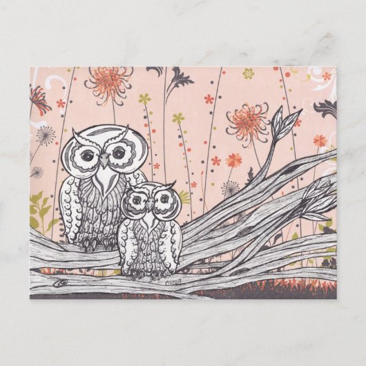 Chouettes 15 cartes postales (Devant)