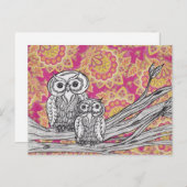 Chouettes 36 Cartes postales (Devant / Derrière)