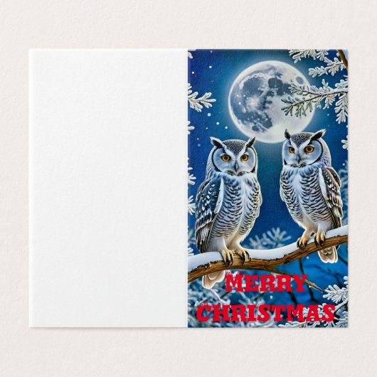 Chouettes de Noël (Outside Unfolded)