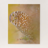 Chouettes - Oiseaux de proie. Jigsaw Puzzle (Vertical)